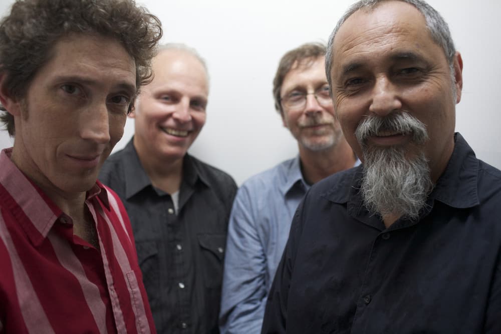 The Iguanas's artist profile image