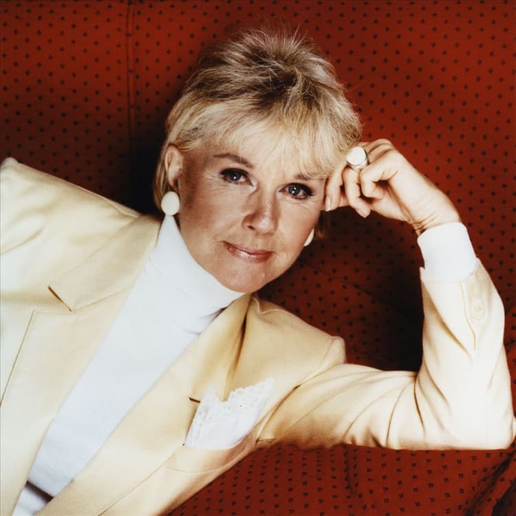 Doris Day artist profile image