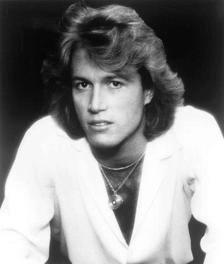 Andy Gibb artist profile image