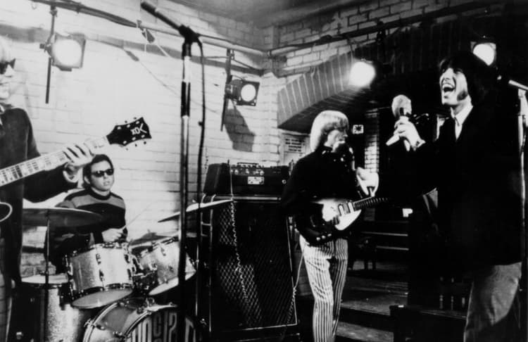 The Chocolate Watchband artist profile image