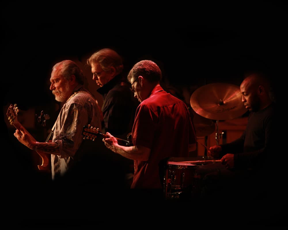 Hot Tuna's artist profile image