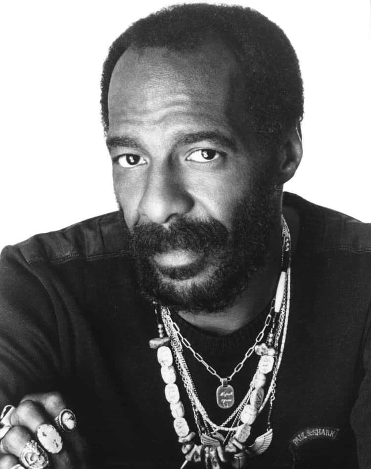 Richie Havens artist profile image