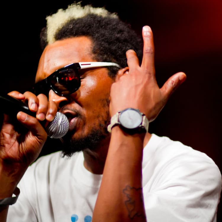 Del The Funky Homosapien artist profile image