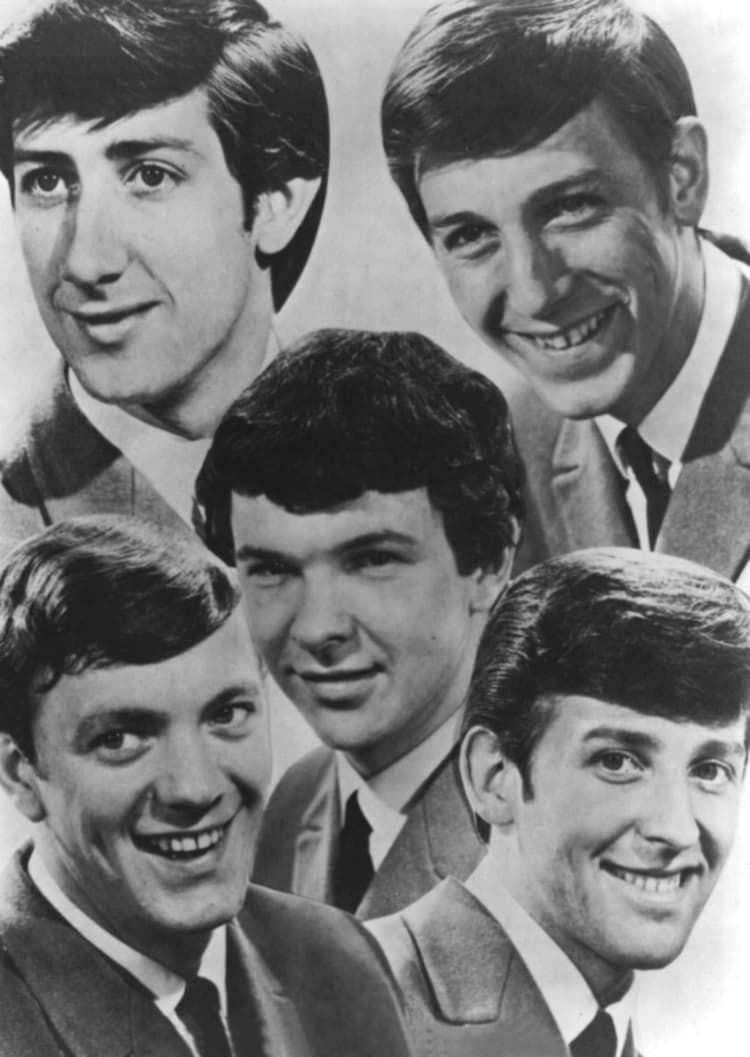 The Fortunes artist profile image