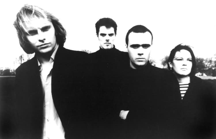 The Auteurs artist profile image
