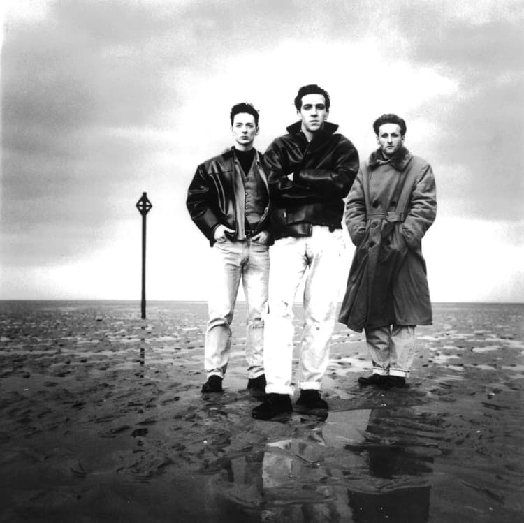 The Wild Swans artist profile image