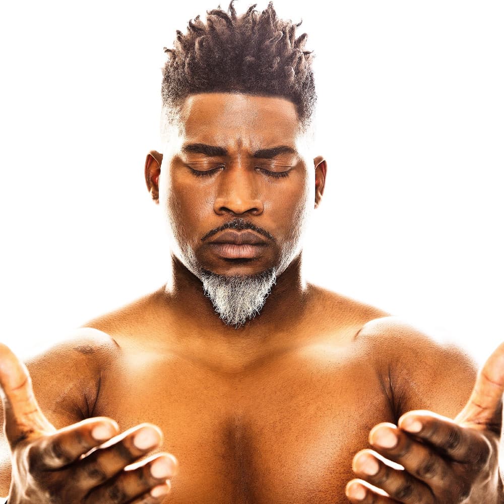 David Banner artist profile