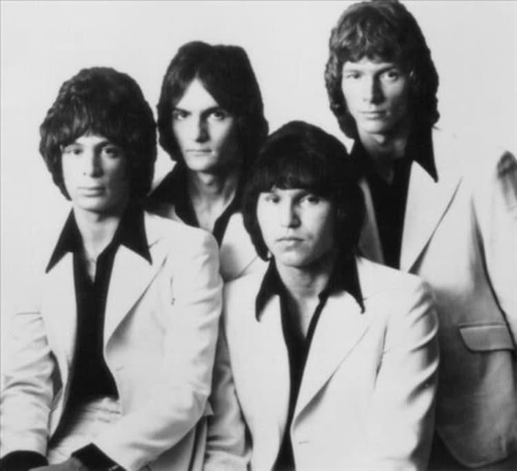 Raspberries artist profile image