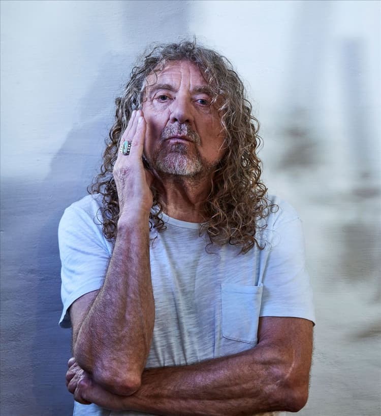 Robert Plant artist profile image