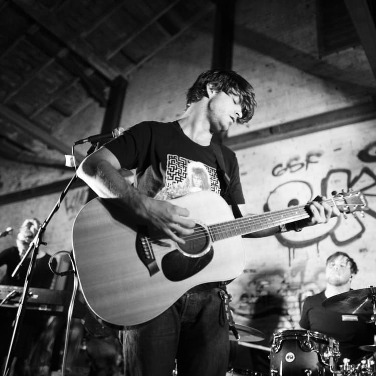 Annuals artist profile image