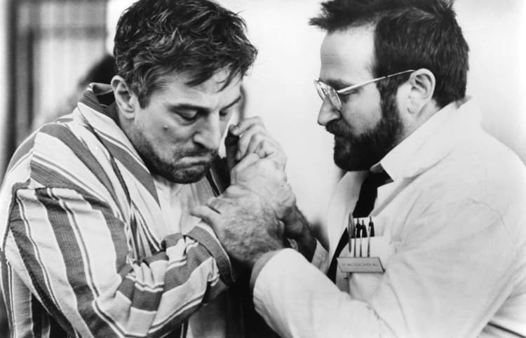 Robin Williams artist profile image