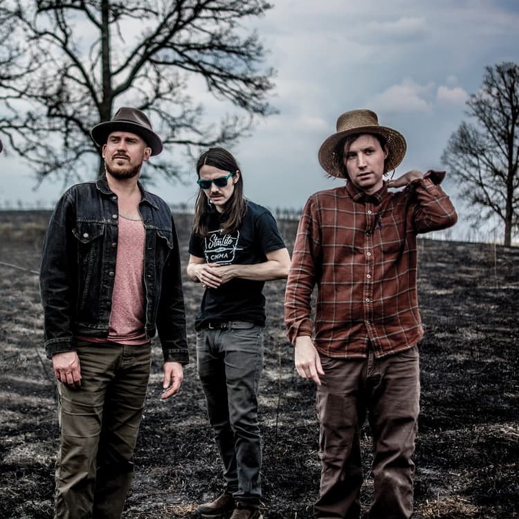 The Pines artist profile image