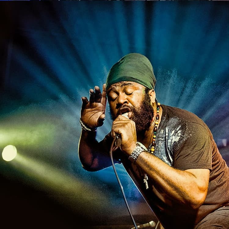 Fantan Mojah artist profile image