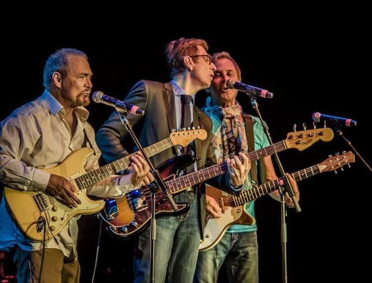 The Box Tops artist profile image