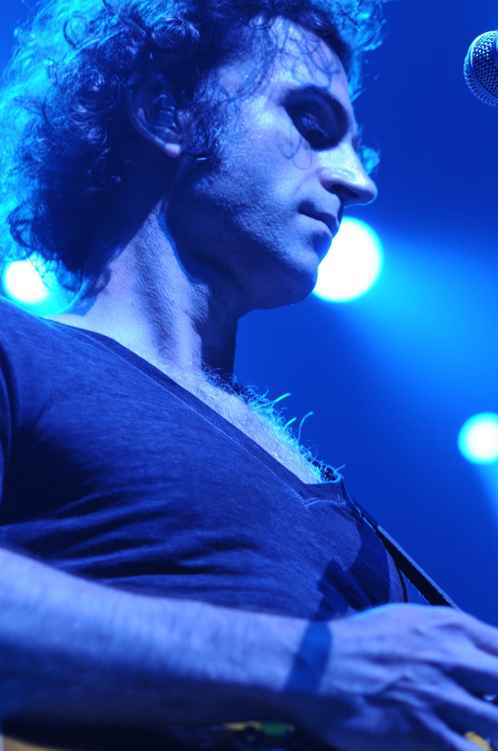 Dweezil Zappa's artist profile image