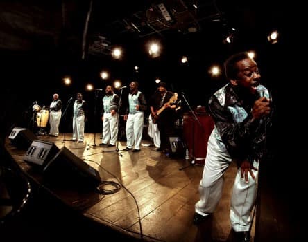 The Relatives artist profile image
