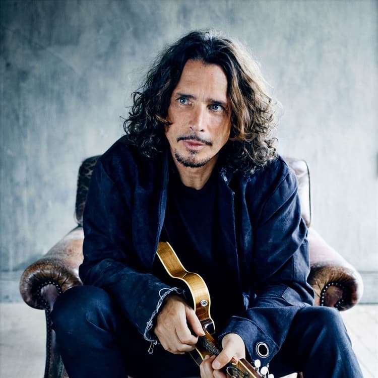 Chris Cornell artist profile image