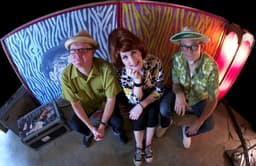 Southern Culture on the Skids's artist profile image