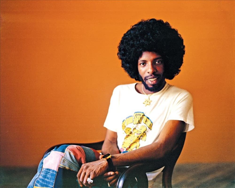 Sly & The Family Stone artist profile