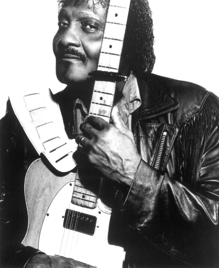 Albert Collins artist profile image