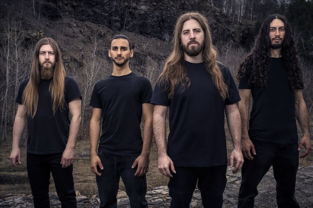 Beyond Creation's artist profile image