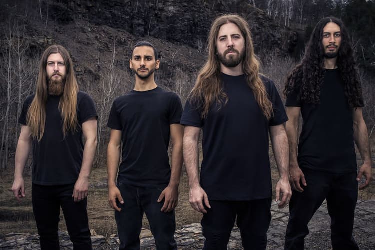 Beyond Creation artist profile image