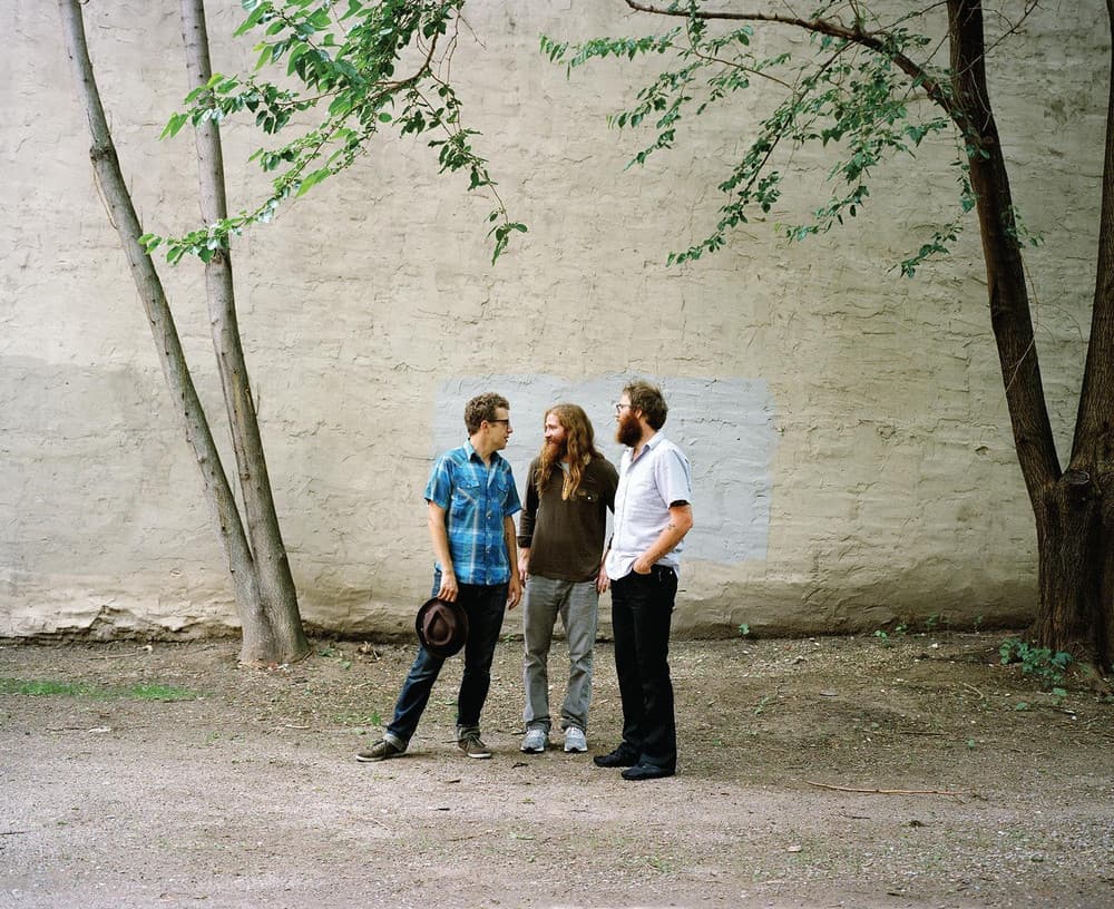 Megafaun artist profile