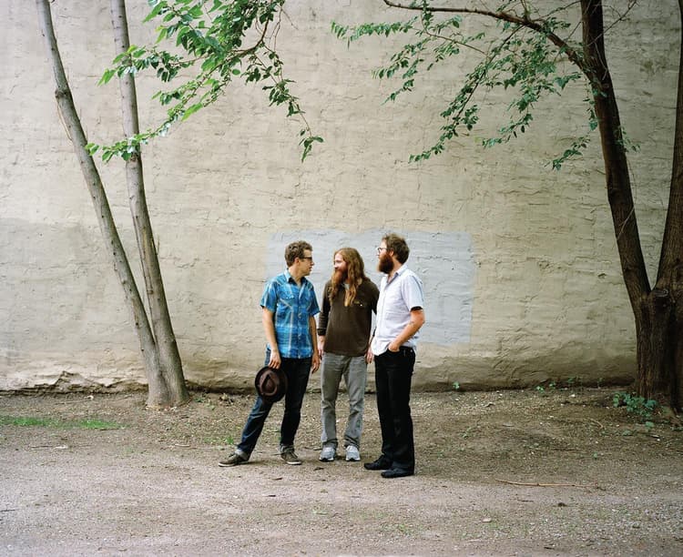 Megafaun artist profile image
