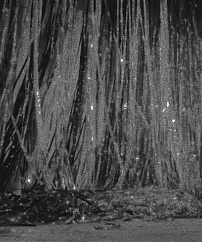 Thomas Hunter artist profile image