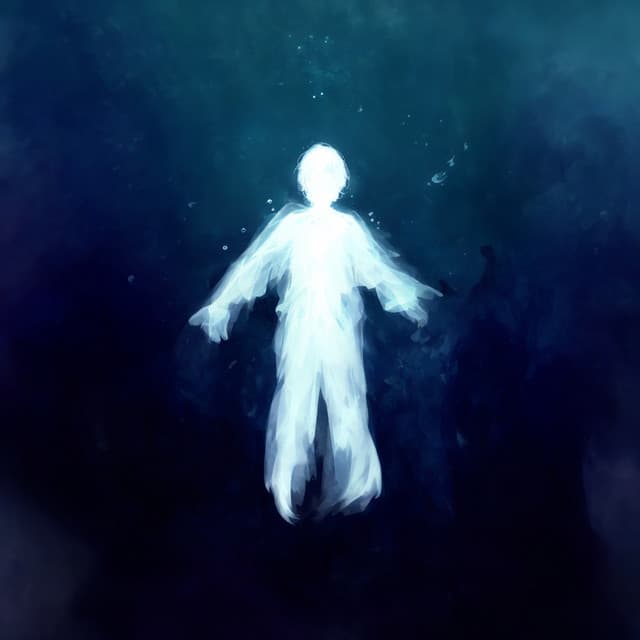 exhibit artist profile image