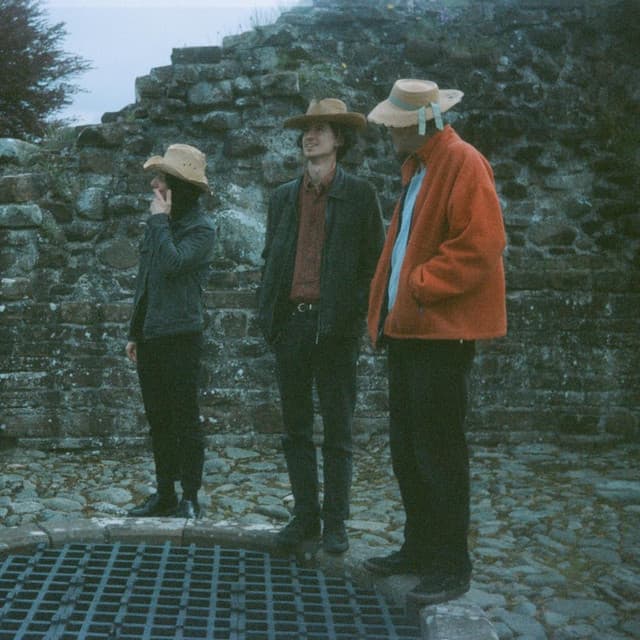 Limbs artist profile image