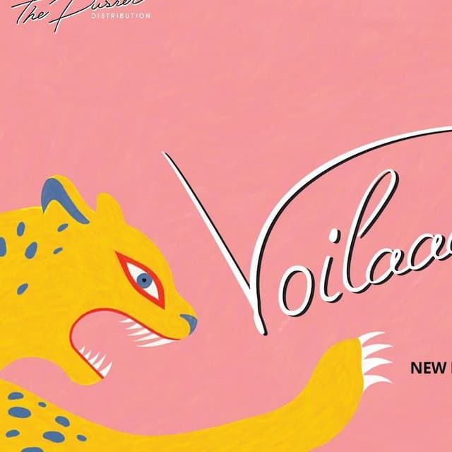 Voilaaa artist profile image