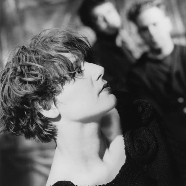 Cocteau Twins artist profile image