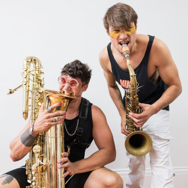 Moon Hooch's artist profile image