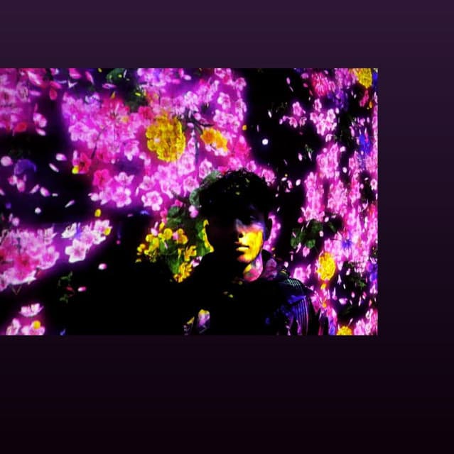 Manu Light artist profile image