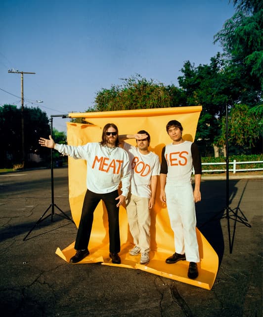 Meatbodies artist profile image