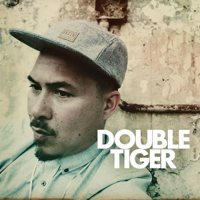 Double Tiger's artist profile image