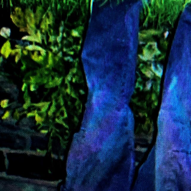 yaego artist profile image