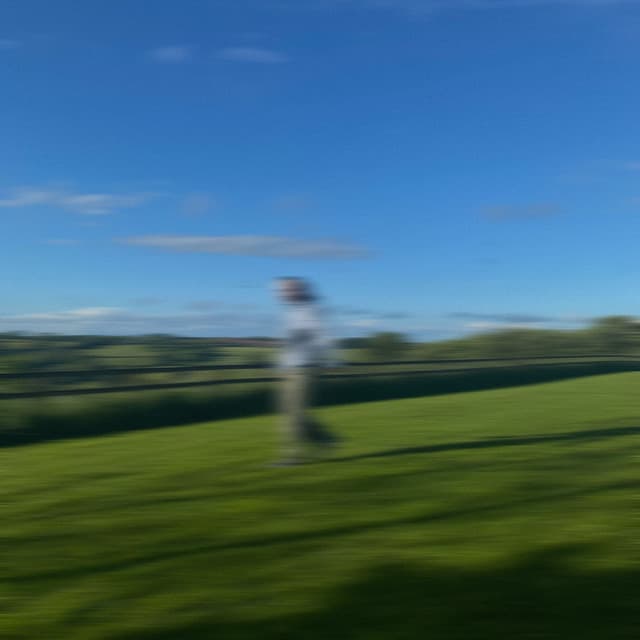 Amelia Rose artist profile image