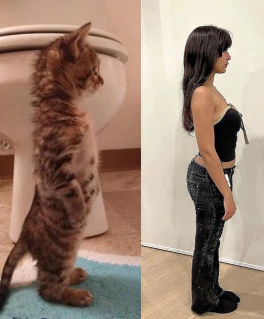 905aido artist profile image