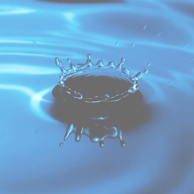 The Rain Library artist profile image