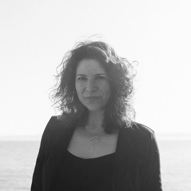 Kris Delmhorst artist profile image