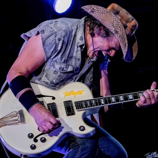 Ted Nugent artist profile image