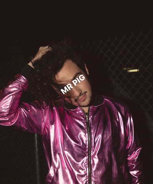 Mr. Pig artist profile image
