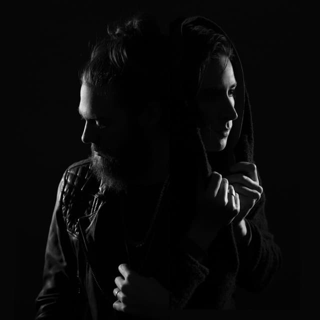 Wildcat! Wildcat! artist profile image