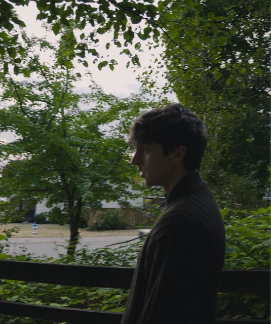 Powfu's artist profile image