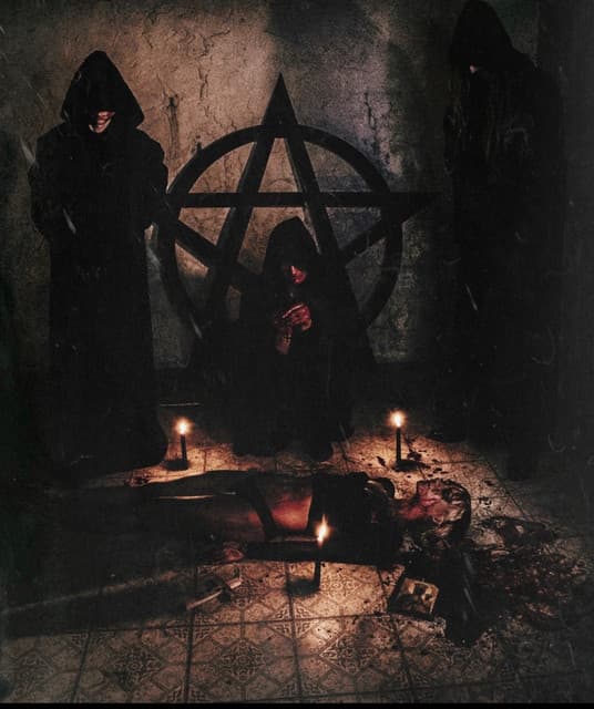 Temple of the Fuzz Witch artist profile image