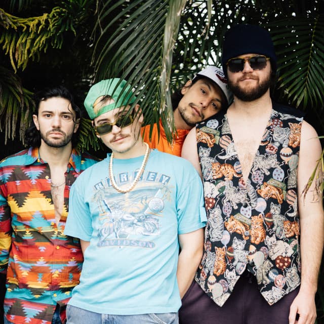 Parrotfish's artist profile image
