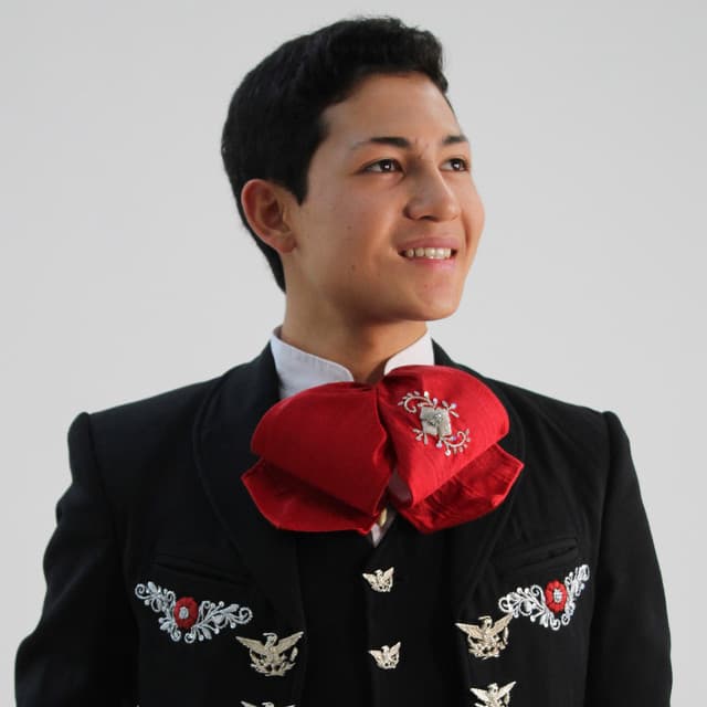 Sergio Maya artist profile image
