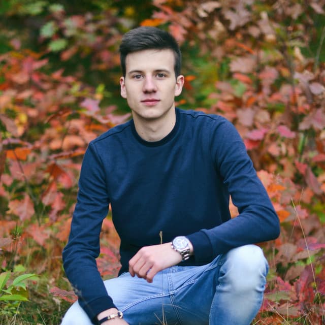 WildVibes artist profile image